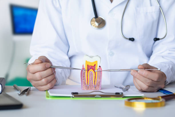 Best Emergency Dental Surgery in Cottonwood Shores, TX
